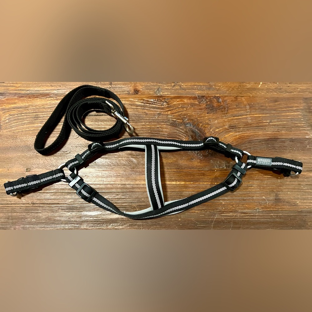 Black and Gray Dog Harness